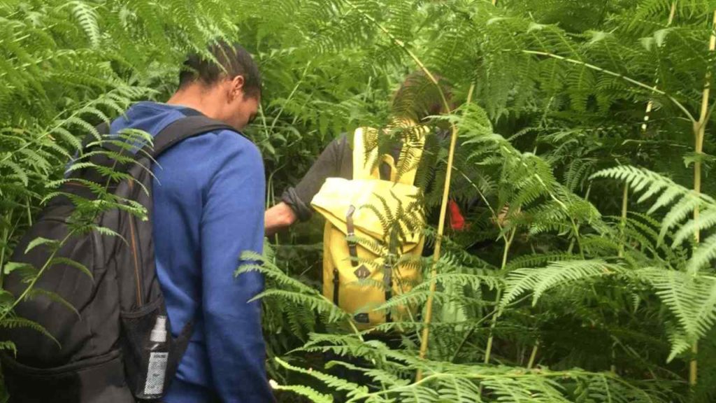 Biliana Tod - NeuroExcellence - evenement insolite - Les participants vivent une expérience de transformation et de cohésion en profitant d’un moment de vacances dans un lieu paradisiaque