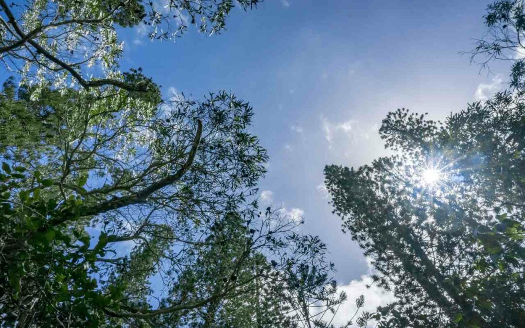 Votre cerveau n’est pas négatif, il vous protège : comment transformer la peur en curiosité