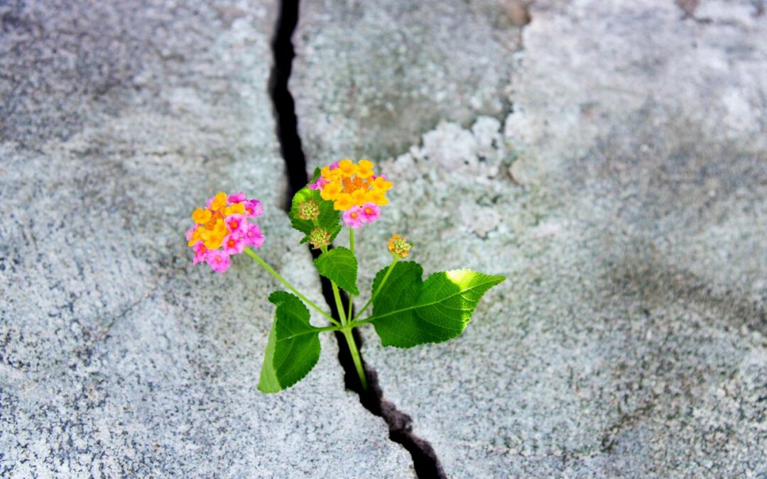 Incertitude et neurosciences : pourquoi elle est essentielle pour grandir